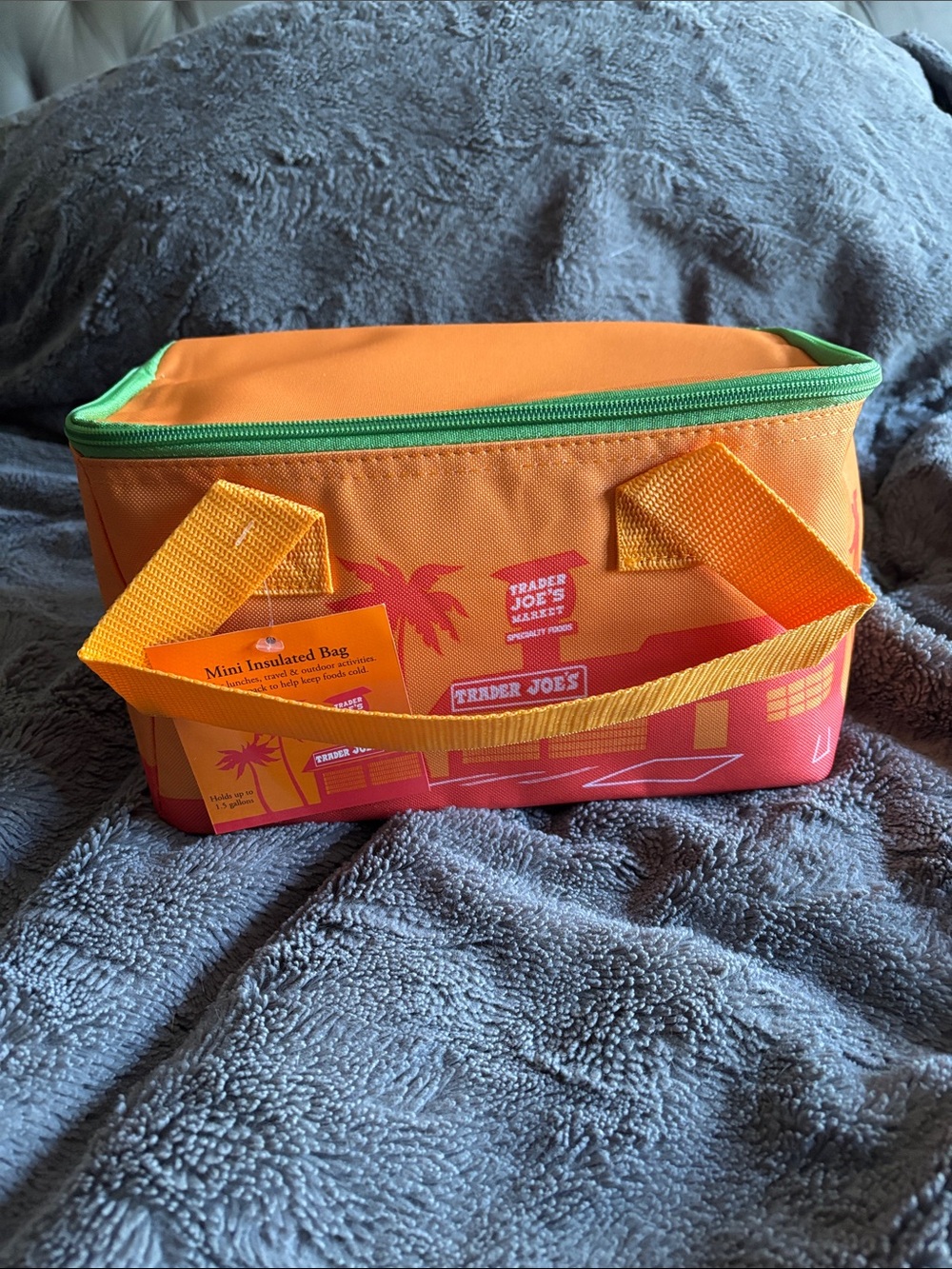 NWT Trader Joe’s green and orange mini insulated tote ships same day